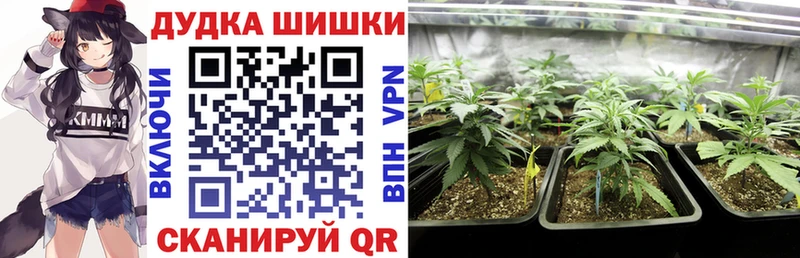 Конопля индика Купить закладки Заполярный